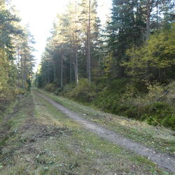 2022-10-03 jaktstugan