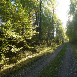 2022-10-03 oster om Lidstorp