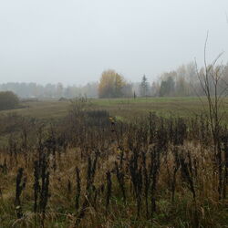 2022-10-20 och 21 Hallby